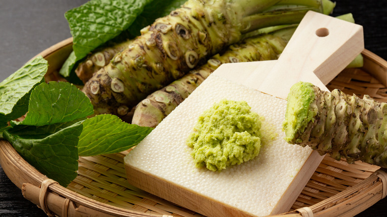 Freshly grated wasabi with wasabi stems and grater