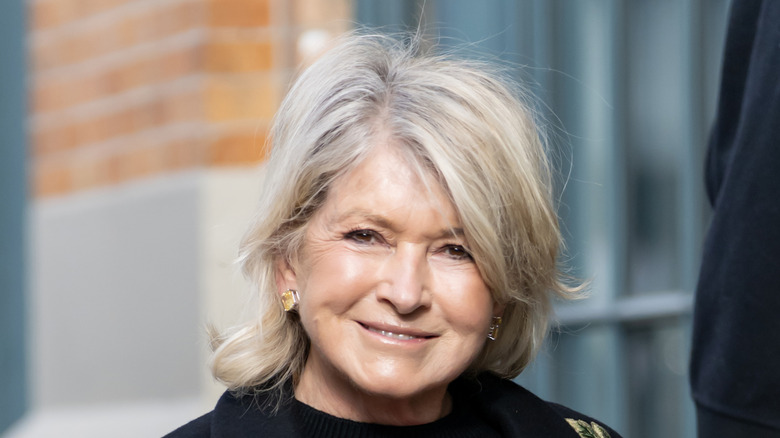 martha stewart smiling 2026