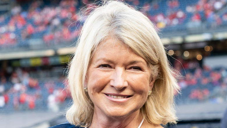 martha stewart smiling