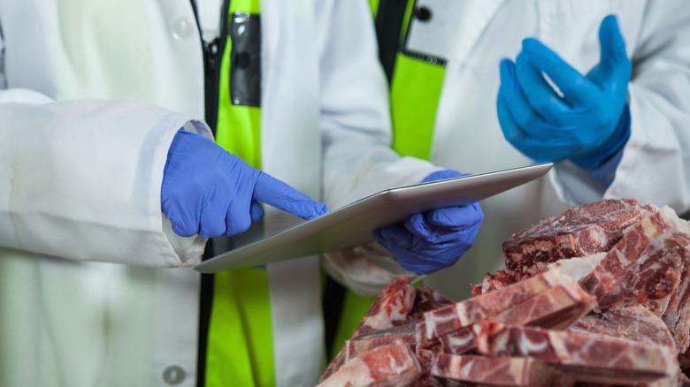 People in lab coats and blue gloves inspecting meat