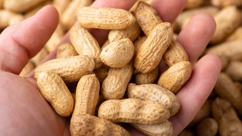 A handful of in-shell peanuts.
