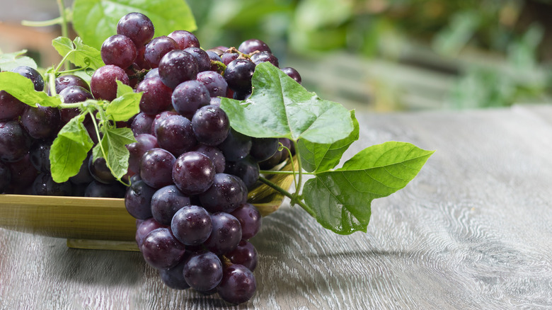 Grapes on a stem with leaves