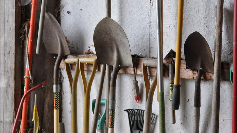 Shovels, trowels, and other garden tools hung up on nails in a shed