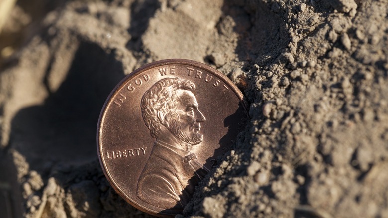 side shot of penny in soil