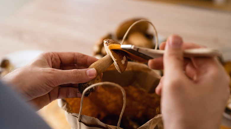 cleaning mushroom with pastry brush