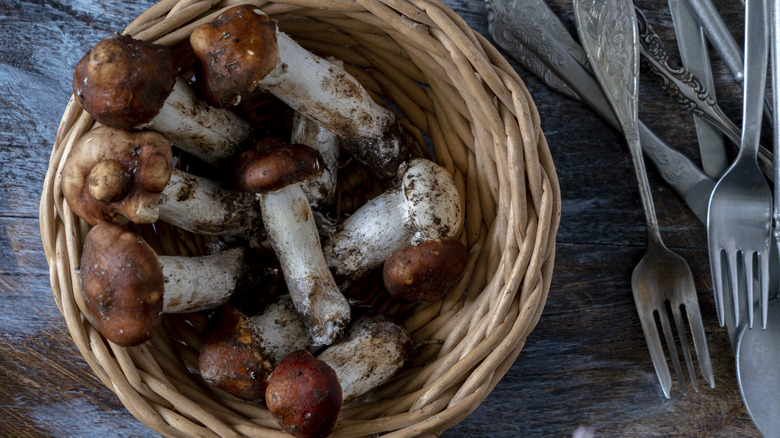 white mushrooms with bits of dirt