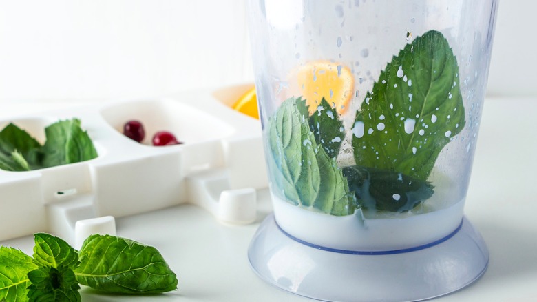 Mint and cream in blender with mint leaves nearby