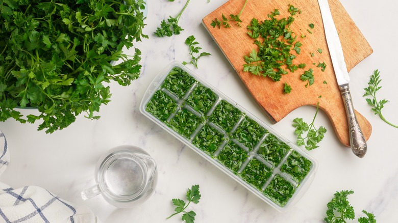 Ice cube method to freeze herbs