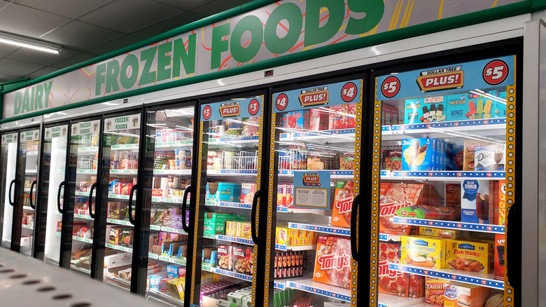 Dollar Tree frozen foods section.