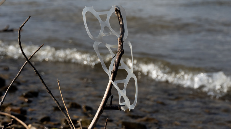 Six pack ring littered on a beach