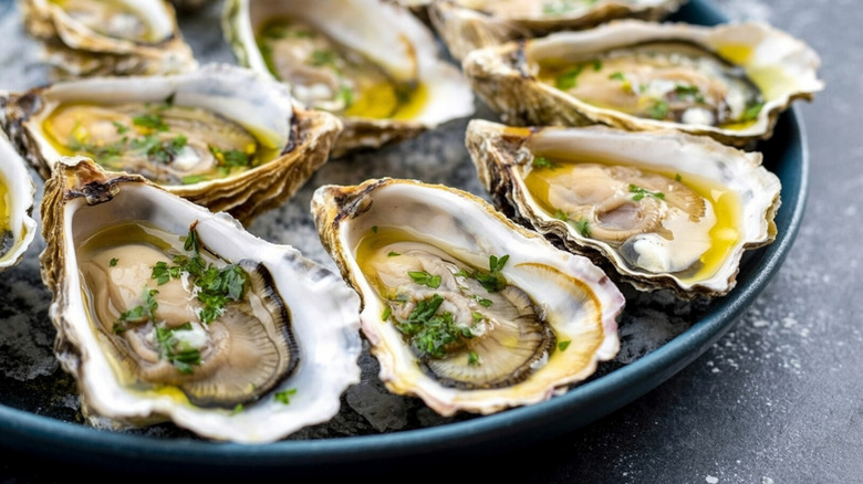 A platter of fresh oysters